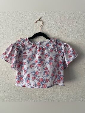 Janie and Jack Girls 2T Floral Blouse Ruffle Flutter Sleeve Pink Blue Top